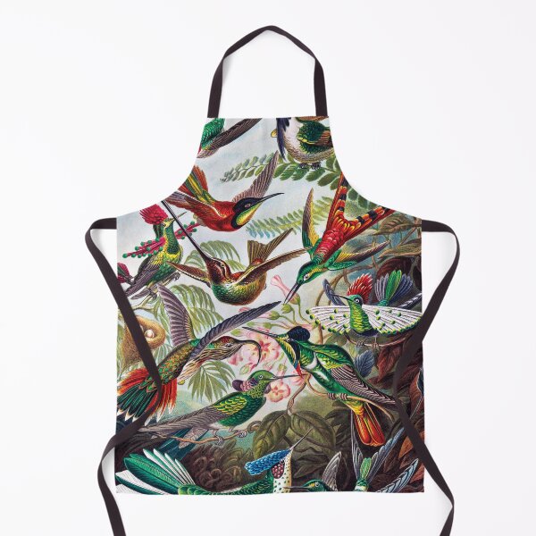 Item preview, Trochilidae–Kolibris from Kunstformen der Natur (1904) by Ernst Haeckel.  designed and sold by Gold Turtle  Lina.