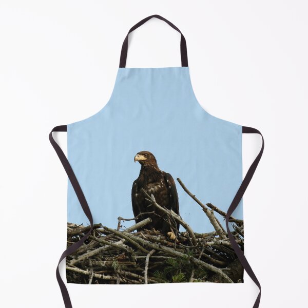 Item preview, Baby bald eagle  designed and sold by locustgirl.