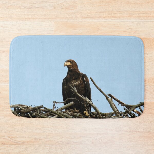 Item preview, Baby bald eagle  designed and sold by locustgirl.