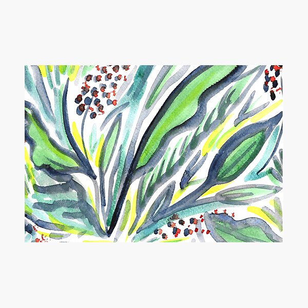Orangerie No. 1 Photographic Print