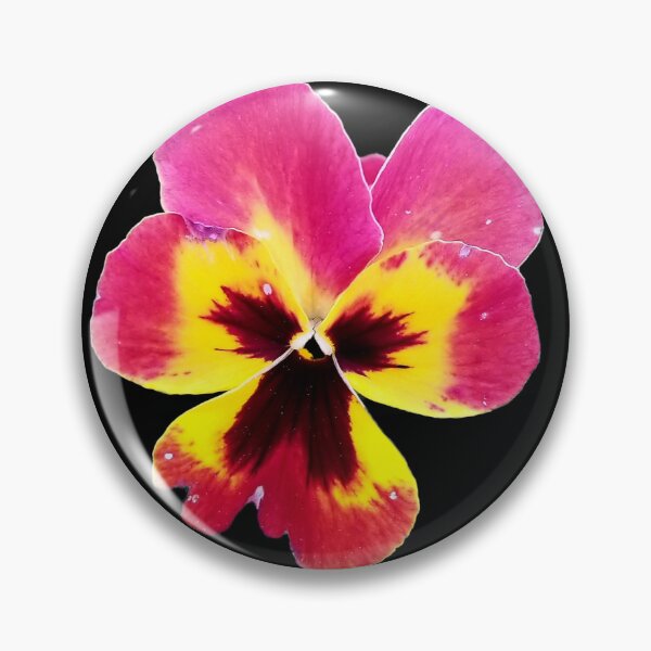 Artikelvorschau, Pansy-Gesicht entworfen und verkauft von AmandaFaye99.