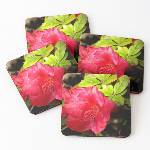 Item preview, Garden, Pomegranate Flowers, Red Flower, Flowering Tree, Pretty Bloosom designed and sold by branaghbel.
