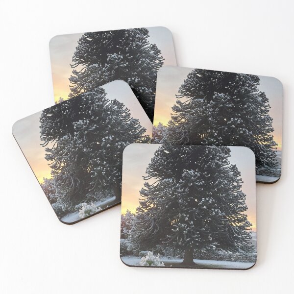 Item preview, Monkey Puzzle Tree designed and sold by Lyndonsnature.