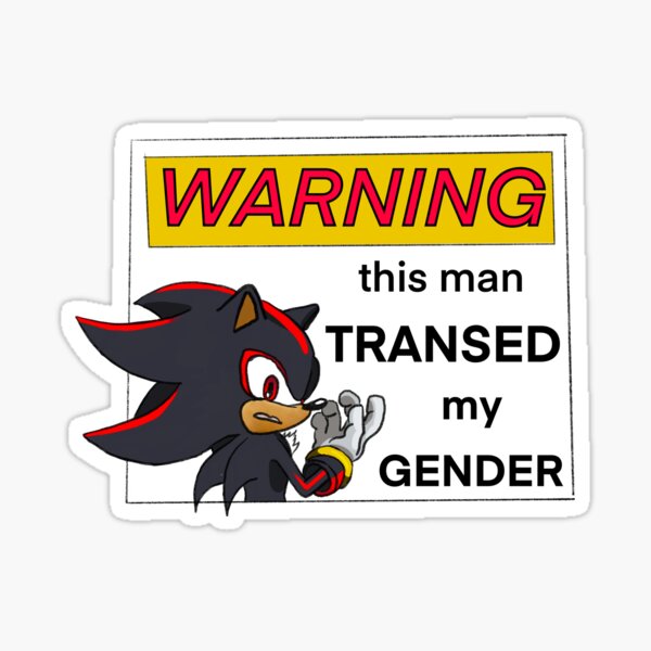 Shadow The Hedgehog mlm pride flag  Sticker for Sale by Trashcreatyre