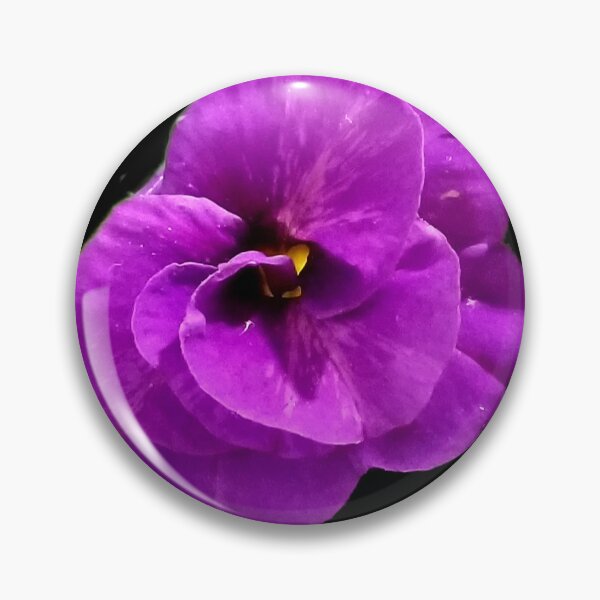 Item preview, Half Bloomed Pansy designed and sold by AmandaFaye99.