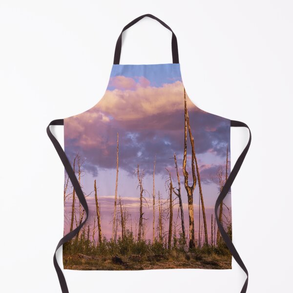 Item preview, Sunset in the Burnt Forest designed and sold by Lostlogo.