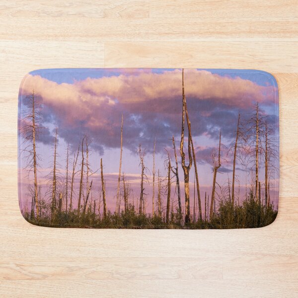 Item preview, Sunset in the Burnt Forest designed and sold by Lostlogo.