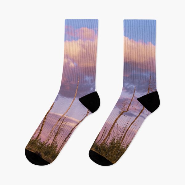 Item preview, Sunset in the Burnt Forest designed and sold by Lostlogo.