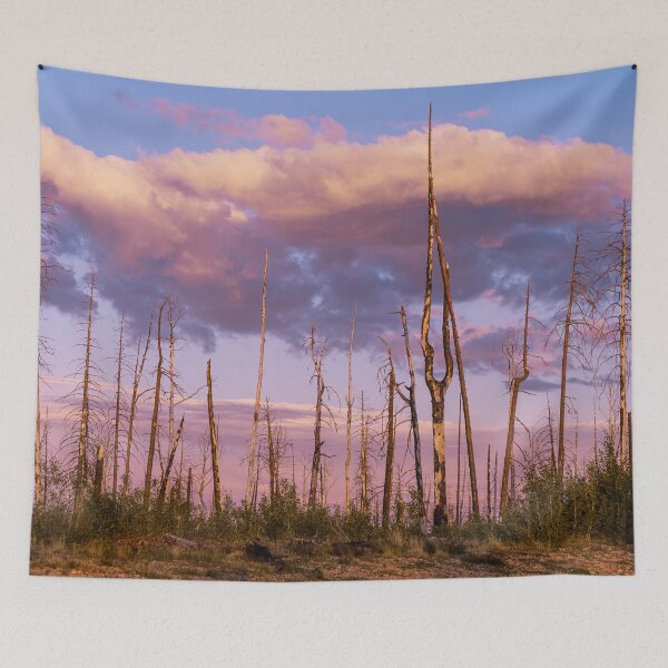 Item preview, Sunset in the Burnt Forest designed and sold by Lostlogo.