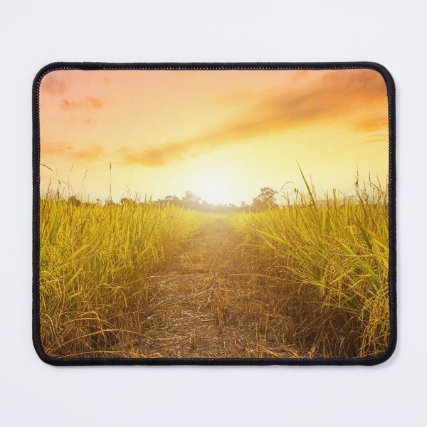 Item preview, Sunrise Field 1 designed and sold by muskitt.