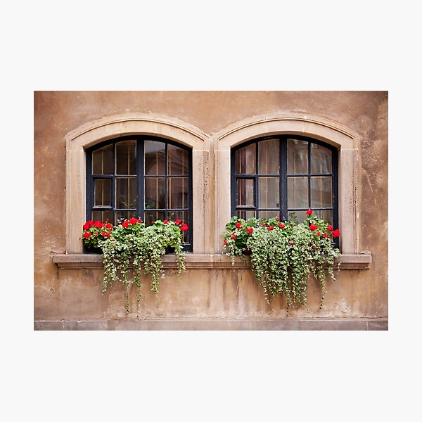 Item preview, Plectranthus Coleoides and red Pelargonium  designed and sold by Arletta Cwalina.