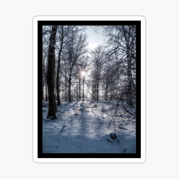 Snowy Forest Sticker