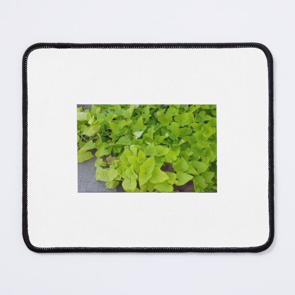 Item preview, Sweet Leaves designed and sold by ColSpankyArt.