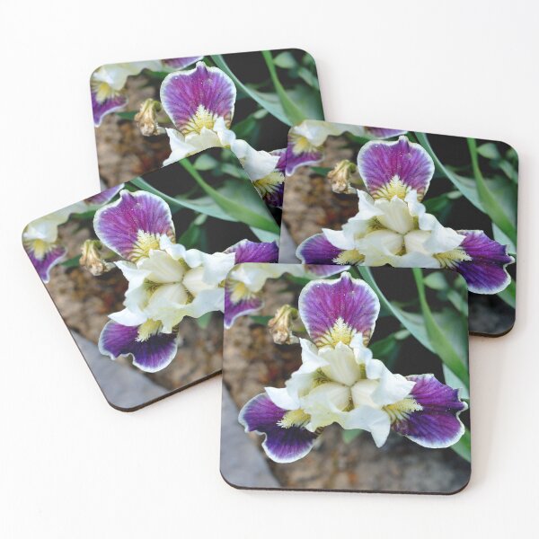 Item preview, Bearded Iris  designed and sold by DesignMore21.