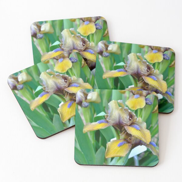 Item preview, Yellow Bearded Iris designed and sold by DesignMore21.