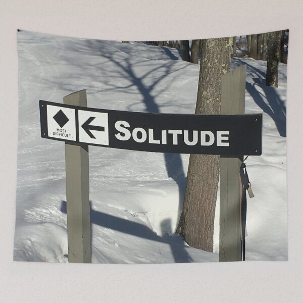Aperçu de l'œuvre Solitude créée et vendue par Matt Acton.