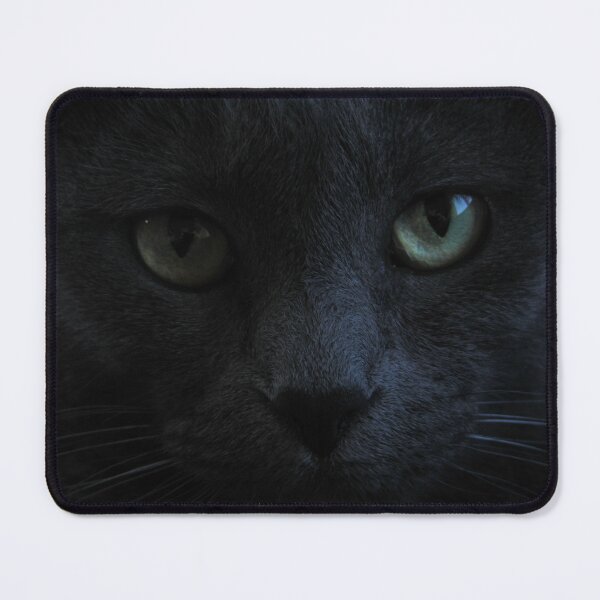 Item preview, Angry Cat "Im Hungry" designed and sold by Racoonzz.
