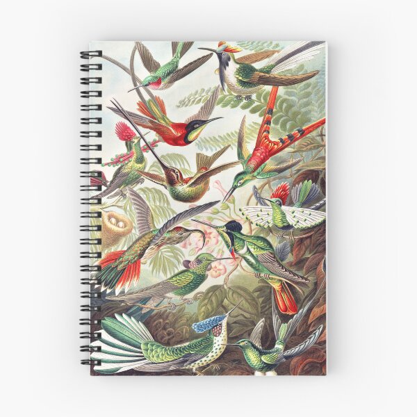 Aperçu de l'œuvre Oiseaux colorés créée et vendue par Bronzocks.