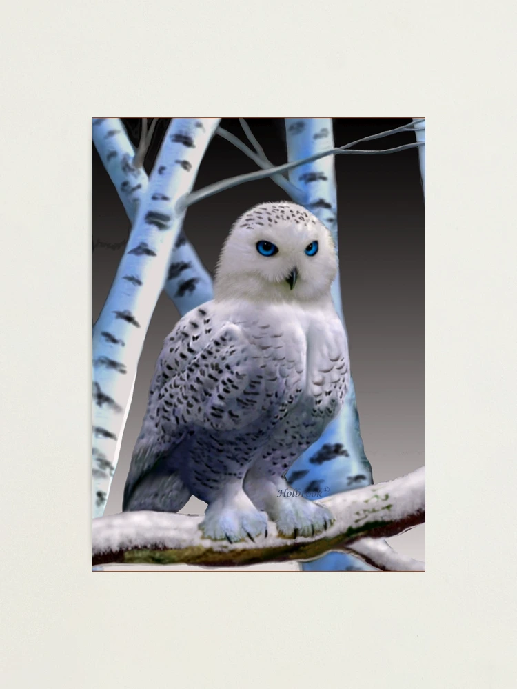 BLUE-EYED SNOW OWL