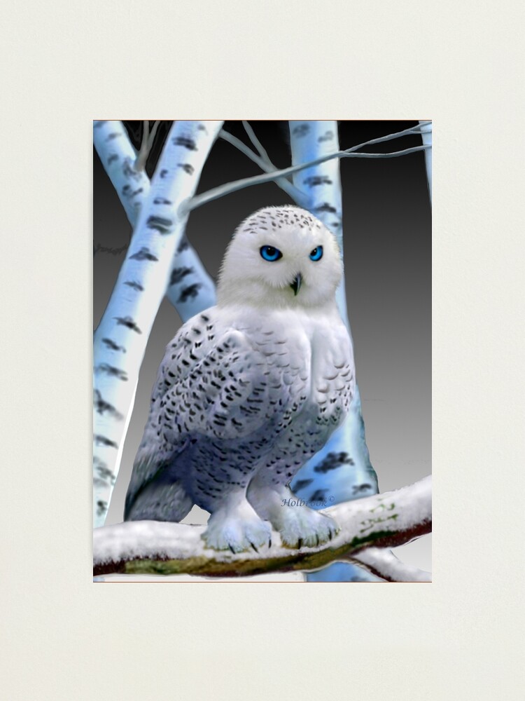 値下げ　アールビバン　版画　てぃんくる　SNOWY OWL 値下げ アールビバン 版画 てぃんくる SNOWY OWL - メルカリ