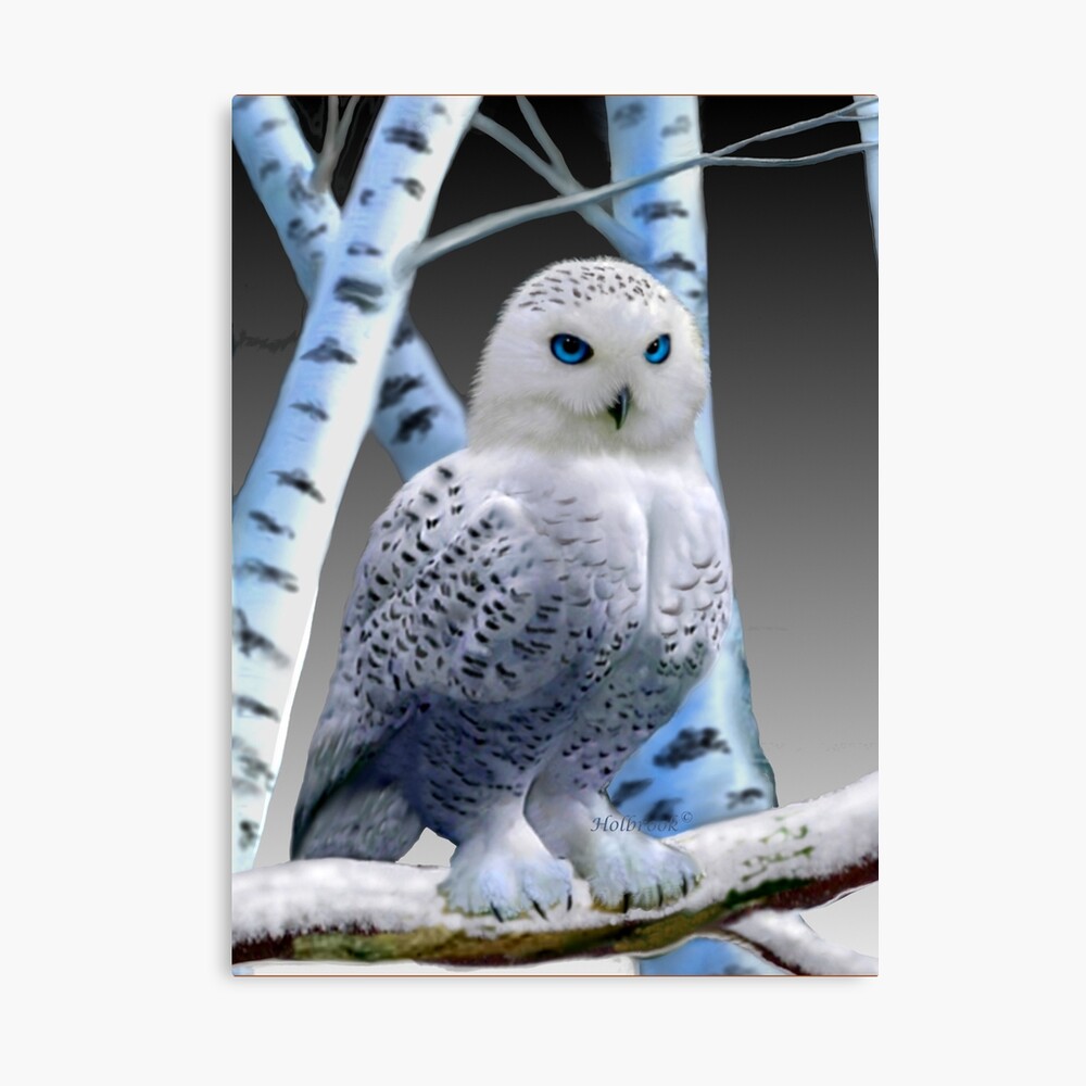 Snowy Owl Canvas Wall Art by William Vanderdasson | iCanvas