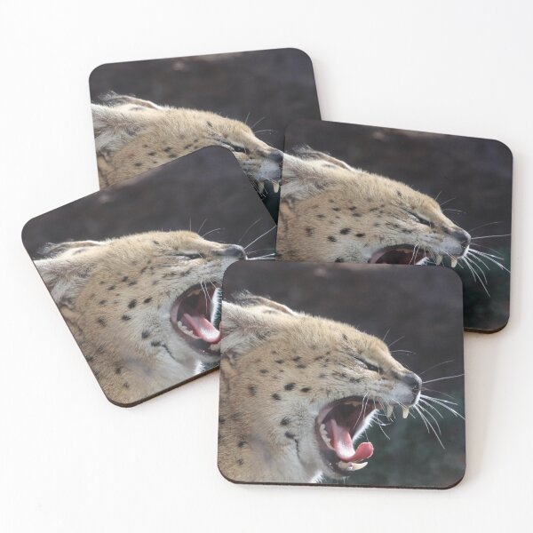 Item preview, Serval Yawn designed and sold by kolbmannc.