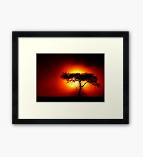 Sun Tree Framed Print