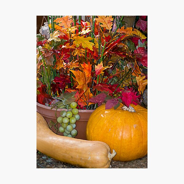 Item preview, Fall Harvest designed and sold by Diane Blackford.