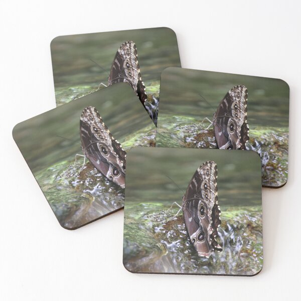 Item preview, Buttery on Waterfall designed and sold by kolbmannc.