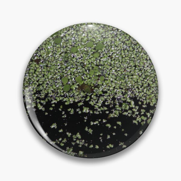 Item preview, Frogbit in Swamp designed and sold by kolbmannc.