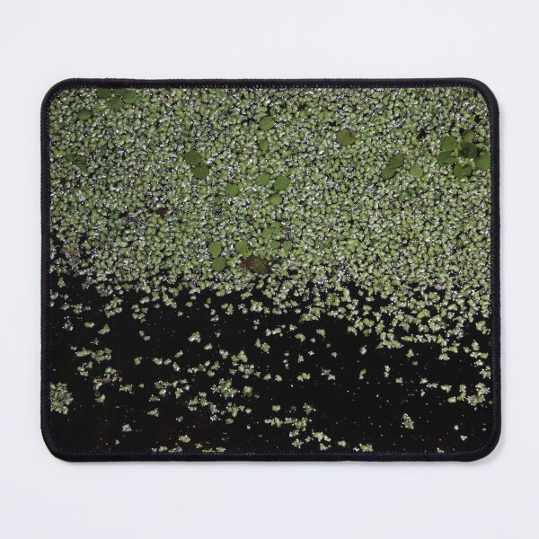 Item preview, Frogbit in Swamp designed and sold by kolbmannc.
