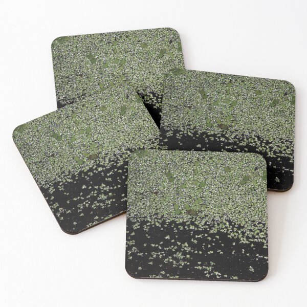 Item preview, Frogbit in Swamp designed and sold by kolbmannc.