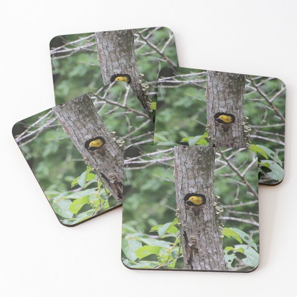 Item preview, Prothonotary Warbler in Nest designed and sold by kolbmannc.