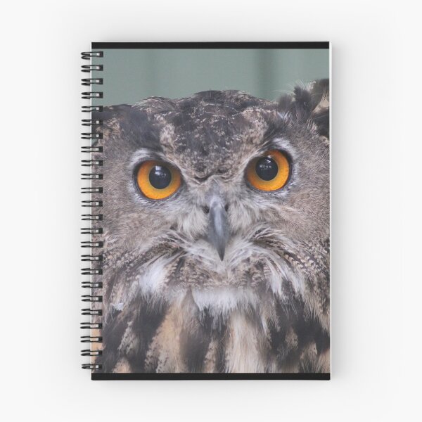 Item preview, Eurasian eagleowl designed and sold by kolbmannc.