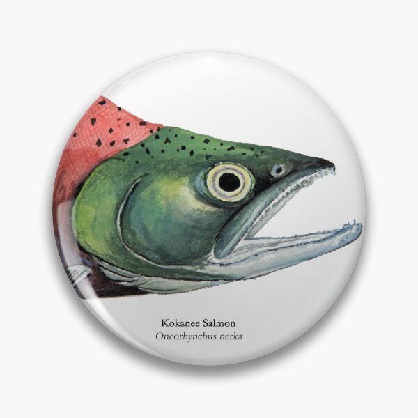 Item preview, Kokanee Salmon Head Painting designed and sold by Stephen Emms.