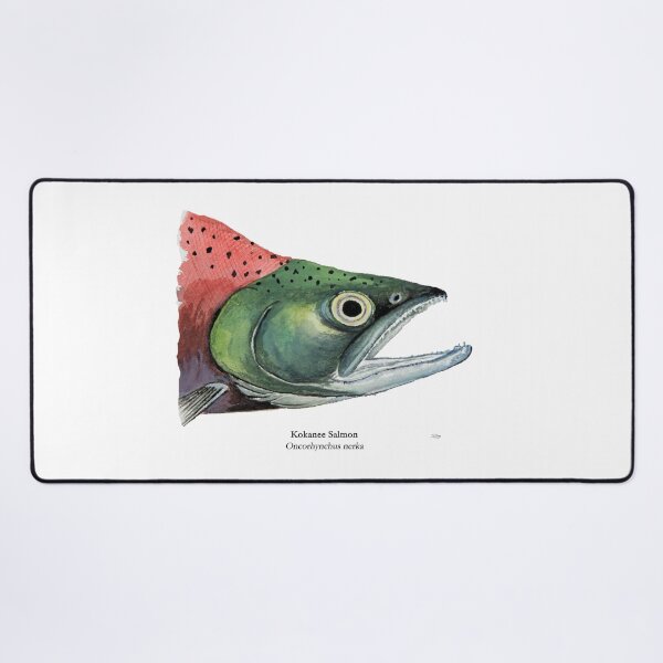 Item preview, Kokanee Salmon Head Painting designed and sold by Stephen Emms.