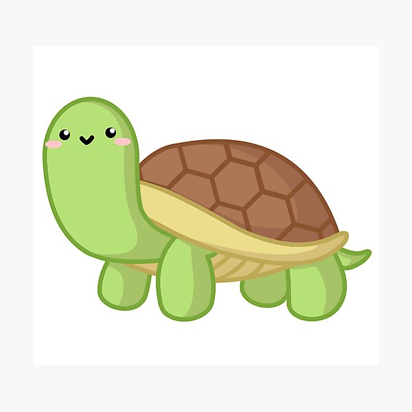 Cute turtle\