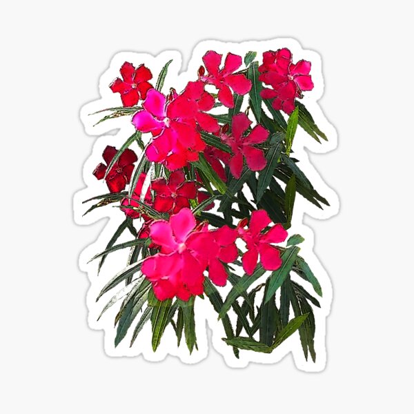 &ldquo;Tropical Flowers&rdquo; Sticker by DAdeSimone | Redbubble