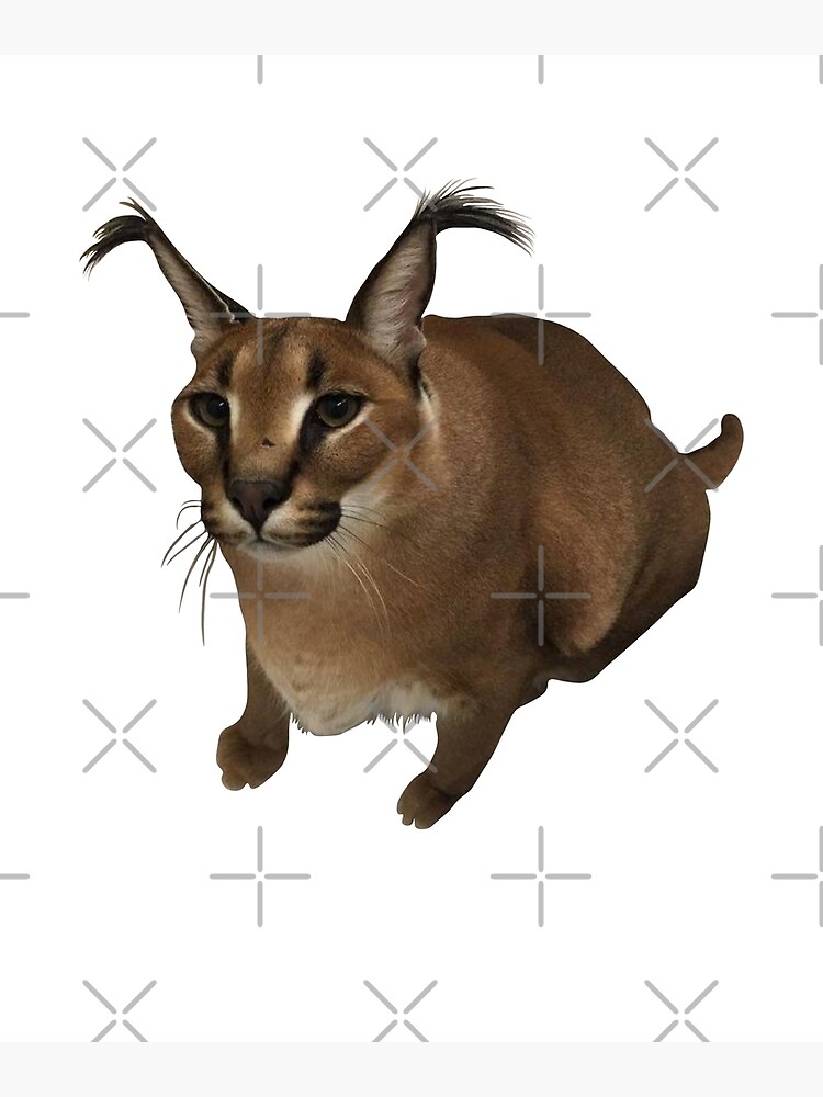 "big floppa, funny cat" Poster for Sale by Redbubble