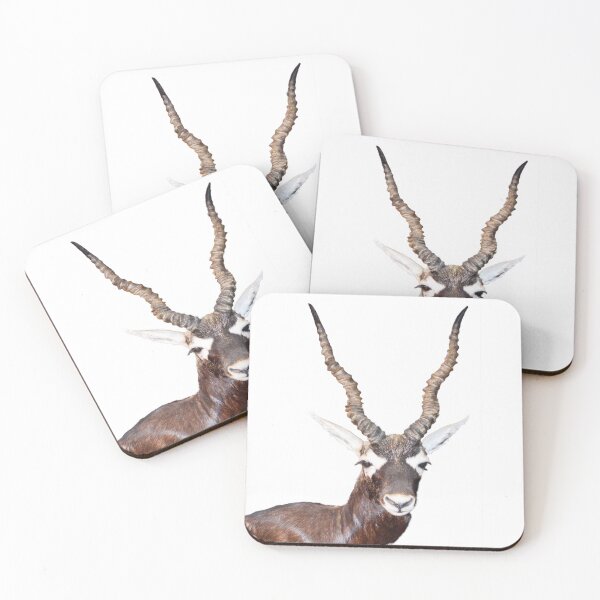 Item preview, Texas Blackbuck Antelope - photo by Dody Denman designed and sold by MoxyMermaid.