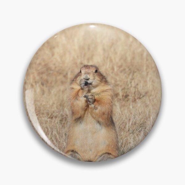 Item preview, Prairie Dog Eating designed and sold by kolbmannc.
