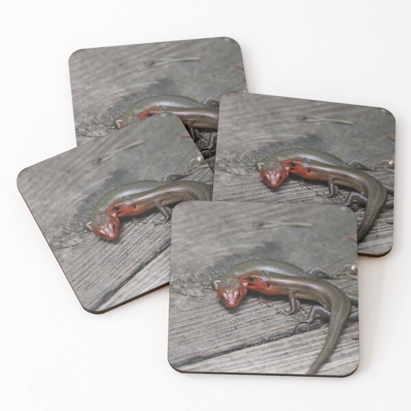 Item preview, Fighting Skinks designed and sold by kolbmannc.