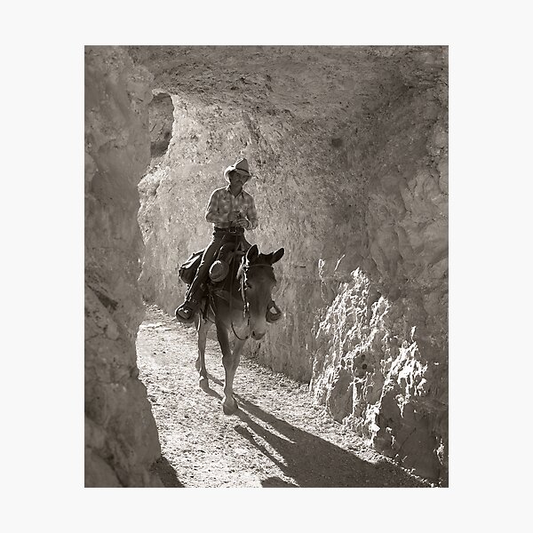 Item preview, Muleteer designed and sold by Terry Shumaker.