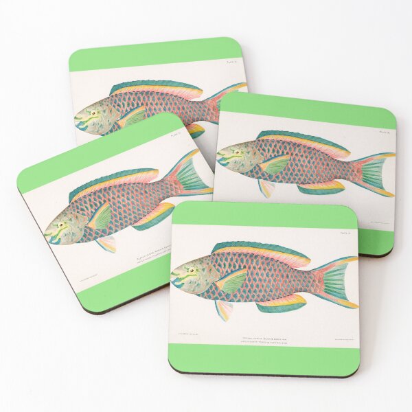 Item preview, BEAUTIFUL TROPICAL FISH PARROT. HENRY BALDWIN (1899) designed and sold by metaweb.