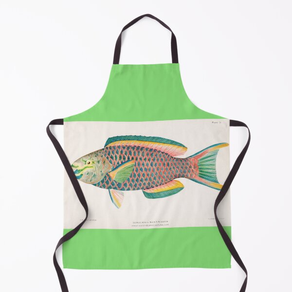 Item preview, BEAUTIFUL TROPICAL FISH PARROT. HENRY BALDWIN (1899) designed and sold by metaweb.