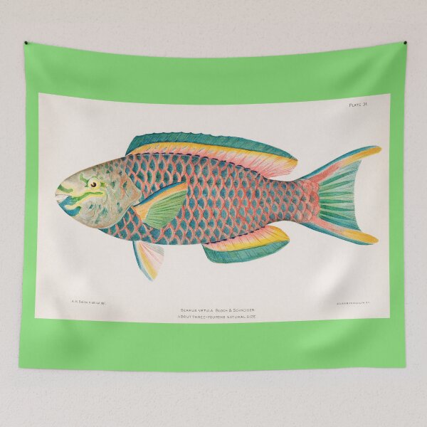 Item preview, BEAUTIFUL TROPICAL FISH PARROT. HENRY BALDWIN (1899) designed and sold by metaweb.