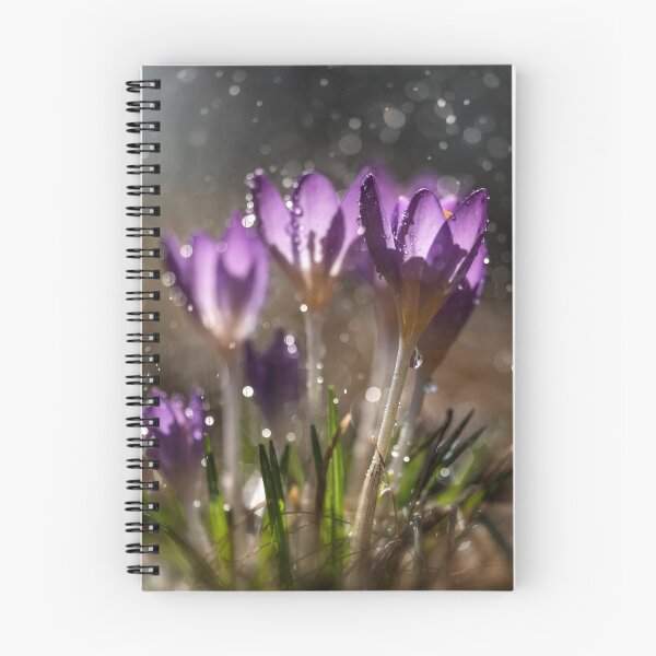 Item preview, Violet crocuses in the moring rain designed and sold by JBlaminsky.