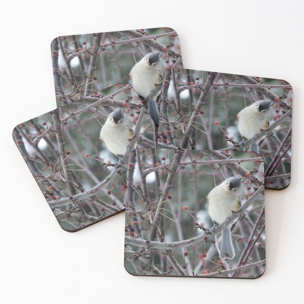 Item preview, Cheep? designed and sold by Flora Su.