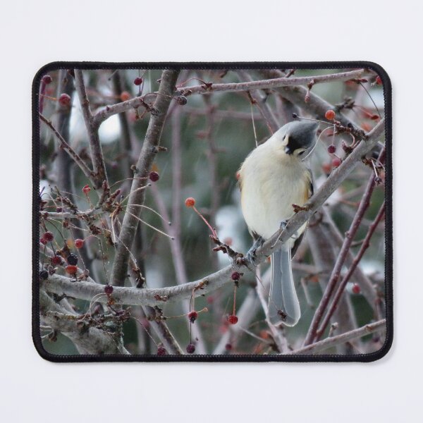 Item preview, Cheep? designed and sold by Flora Su.