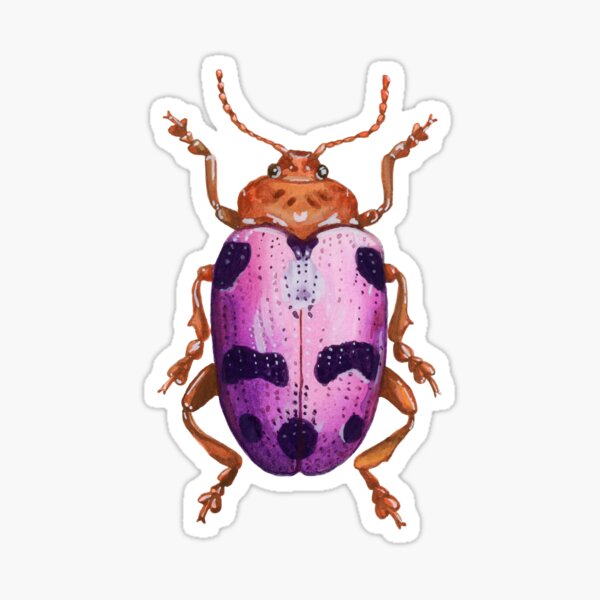 Item preview, Watercolor Beetle designed and sold by graphiteme.